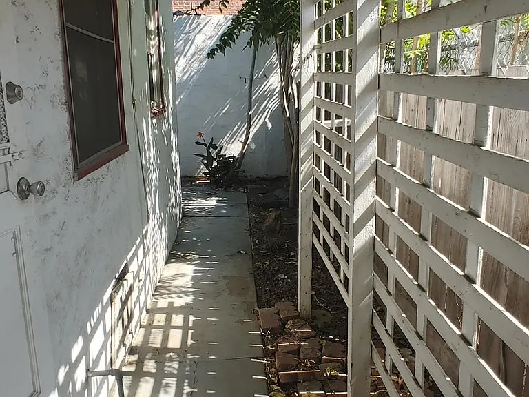 Back yard