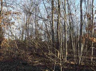 LOT 2 Tennessee St LOT 2, Spring City, TN 37381