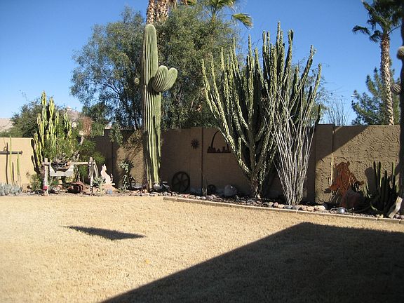 Portion of the back yard