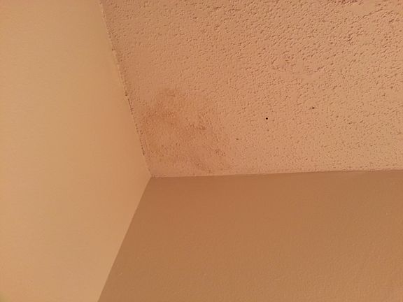 4/16/2014 leak area master bedroom 2