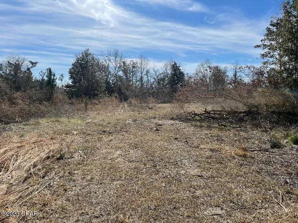 0 NW Peacock Ave, Altha, FL 32421