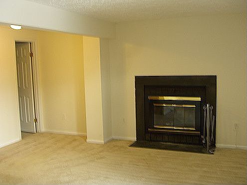 Rec Room Wood-burning Fireplace