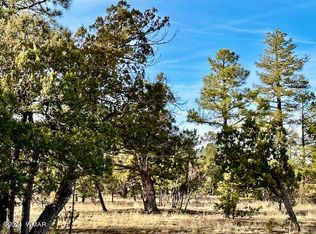 2864 Buck Cir, Overgaard, AZ 85933