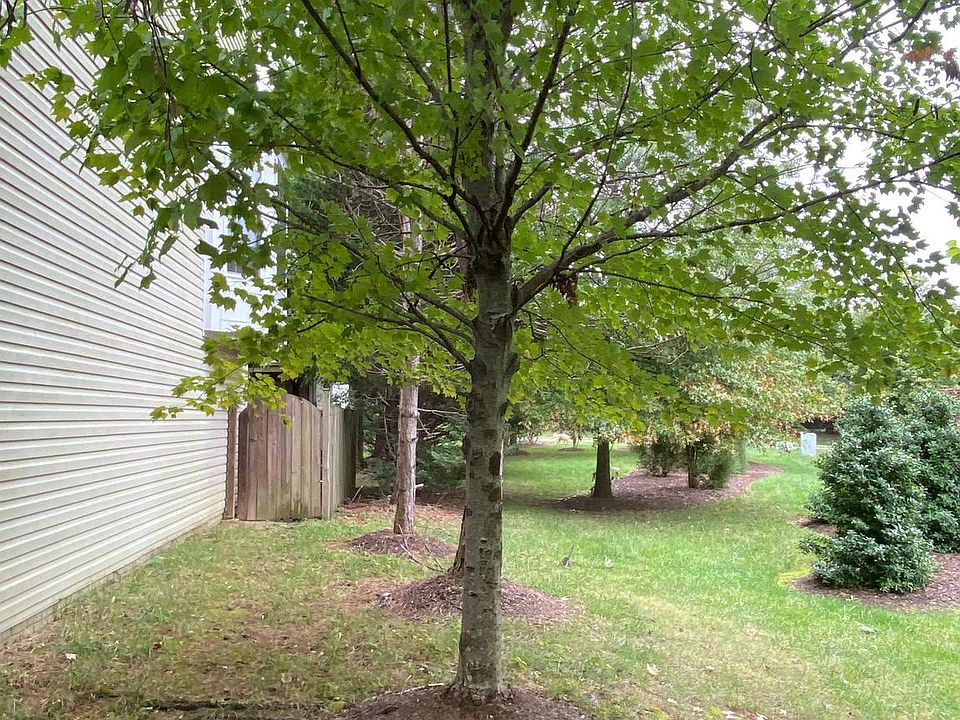 2nd image of 6332 Dunn Ct