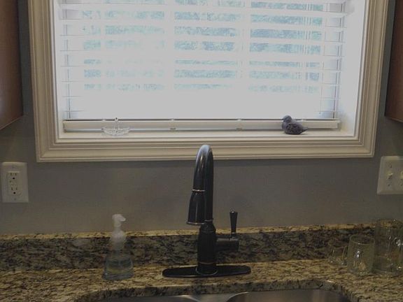 5th image of 15844 Halleman Ln