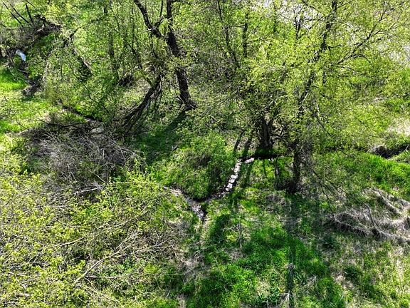 3rd image of 18685 Innsbruck Rd