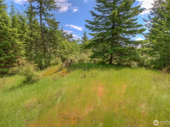 155 Dragonfly Drive, Orcas Island, WA 98279