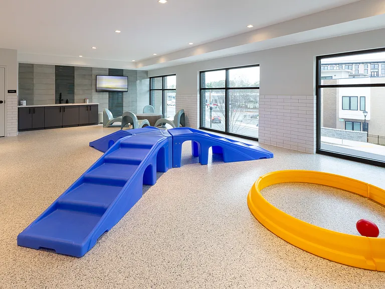 Indoor Pet Playground