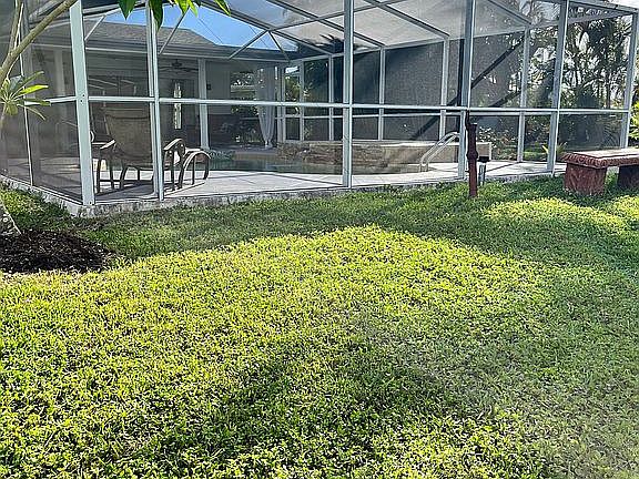 Back yard