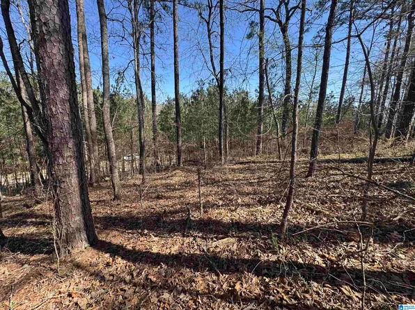 67 Coves Dr, Vincent, AL 35178