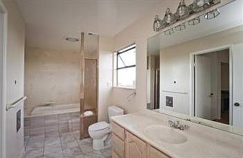 3rd image of 21 Mills Canyon Ct