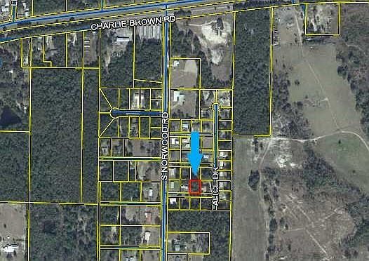 2nd image of Catalpa Dr