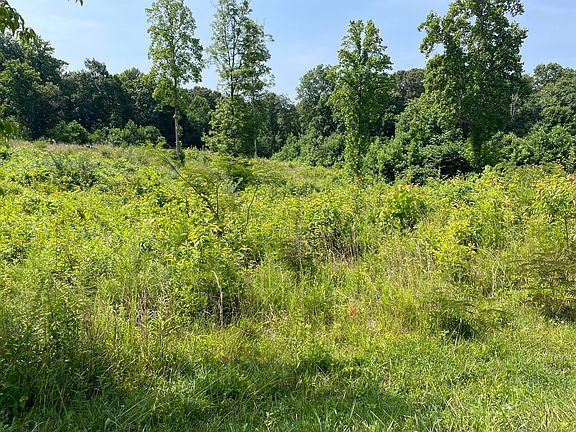 5th image of 13 Cumberland Oaks Dr