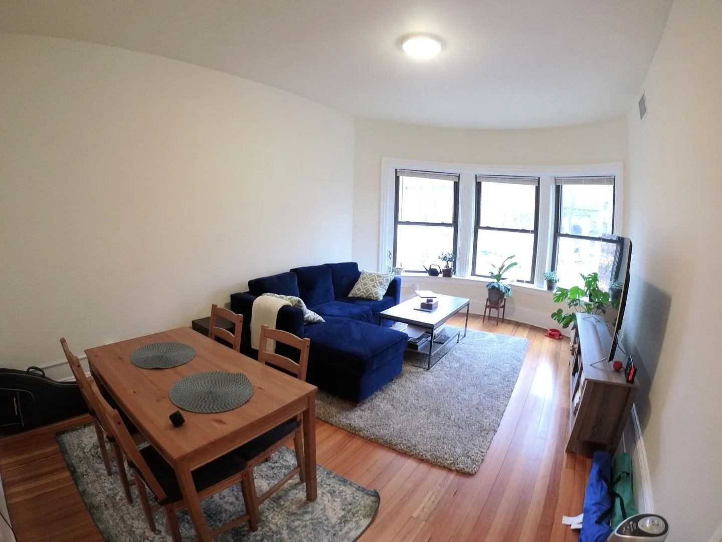 9/1 No Fee! Updated 2BR in Coolidge Corner — Photo 4