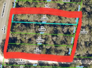 Treiman Blvd, Webster, FL 33597