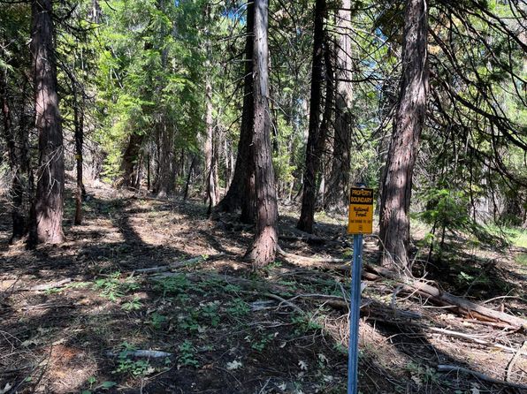 2761 Quincy La Porte Rd, Strawberry Valley, CA 95981