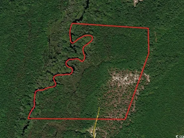 TBD Pee Dee Church Rd., Dillon, SC 29536