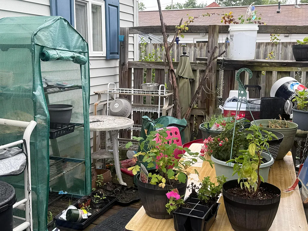 Property photo 5