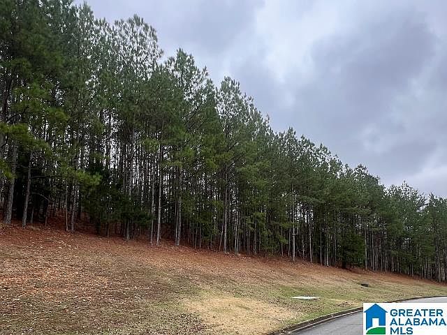 2nd image of 1410 Saint Andrews Pkwy Lot 80 & 81