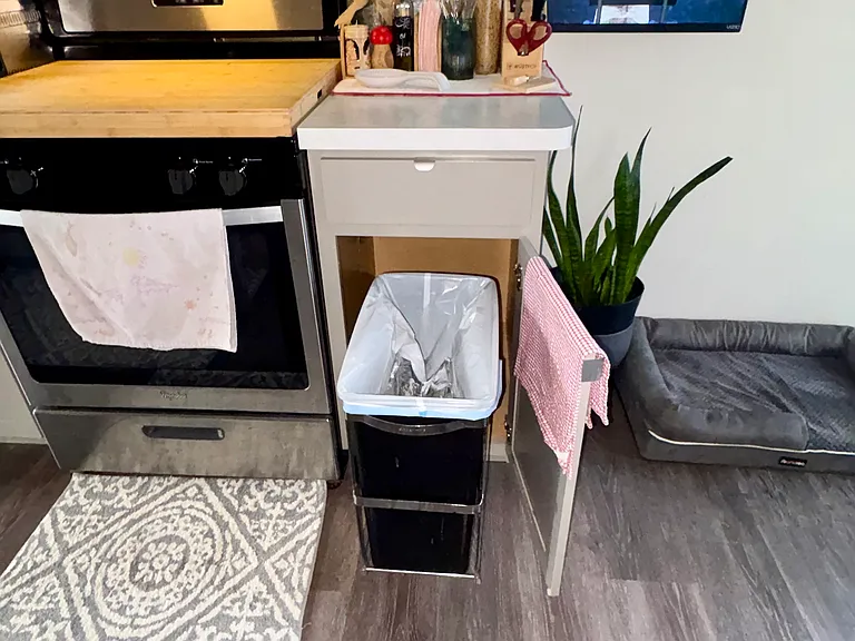 1054 Celebration Dr — Photo 14