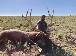 Omega, Quemado, NM 87829