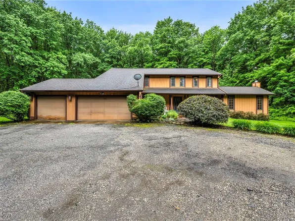 12938 Carter Rd, Painesville, OH 44077