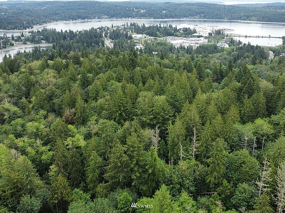 Property has valuable timber on property. >