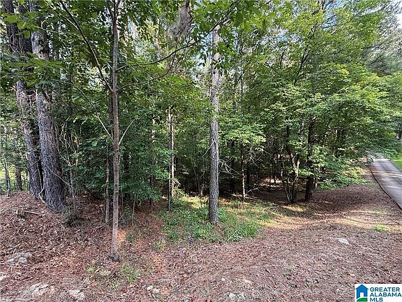 4th image of 0 Bridewell Cir Lot 11