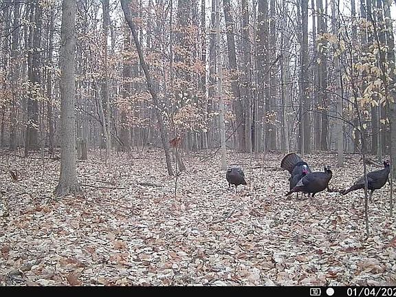 01042026081850 E1002199