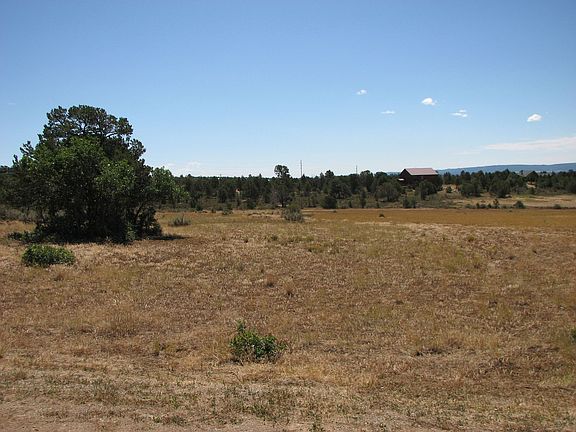 Open Feild on west side