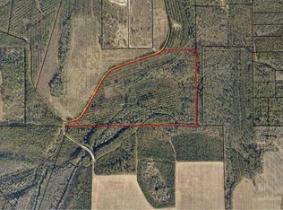 0 Brier Patch Ln, Waycross, GA 31503