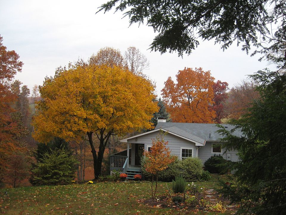 Fall 