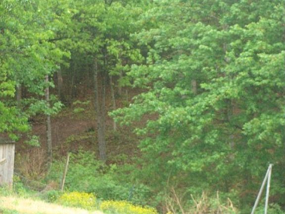 4th image of 298 Bearclaw Ln