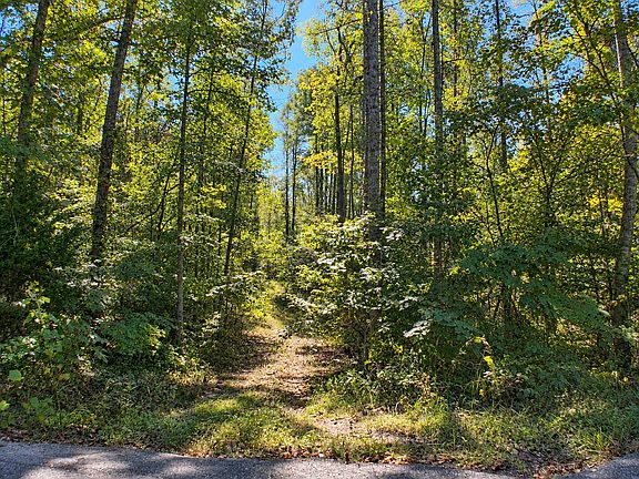5th image of 0 Watson Ridge Rd #0