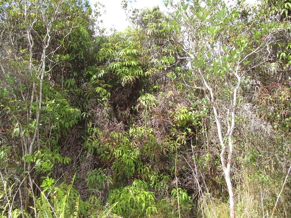 2nd image of Hopue Road Rd #3-lot 3311