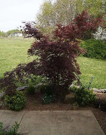 4th image of 13125 Hillmeade Ct