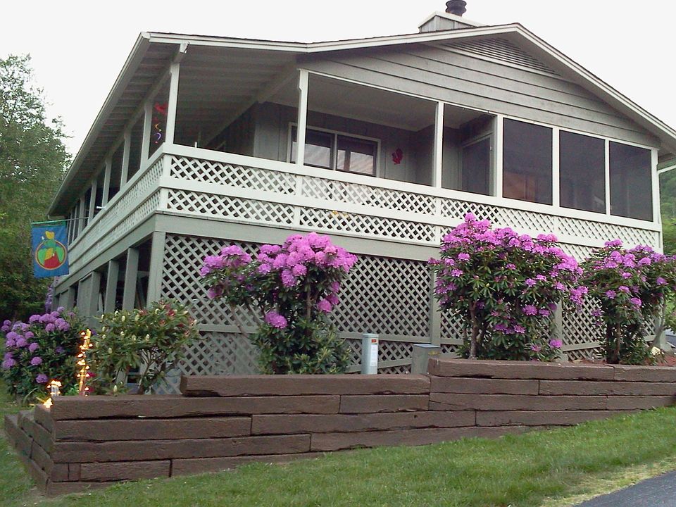 Flowers in Full Bloom!