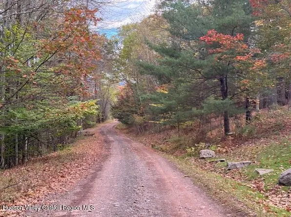 0 North Ridge Extension, Windham, NY 12496