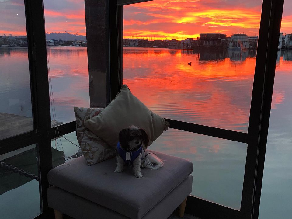 Sunset y my dog Polito