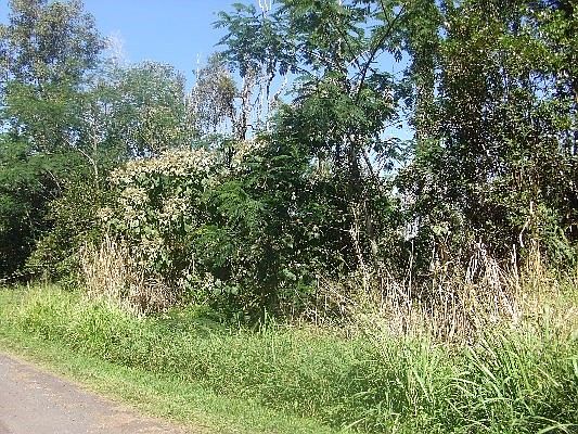 2nd image of 35th Ave Lot 17