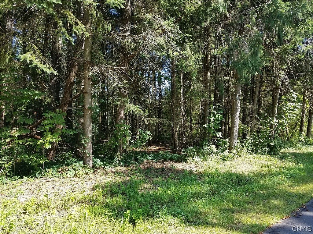 0 Clark Mills Rd 22, Whitesboro, NY 13492 MLS S1473596 Zillow