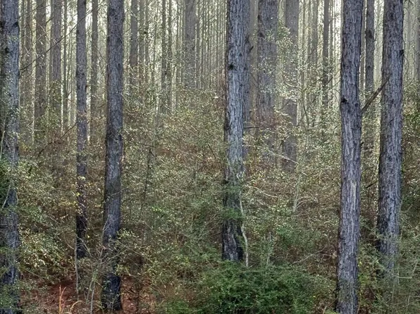 0 W Lakeshore Dr Lot 350, Carriere, MS 39426