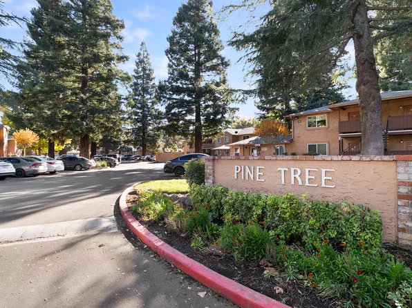 Pine Tree Apartments