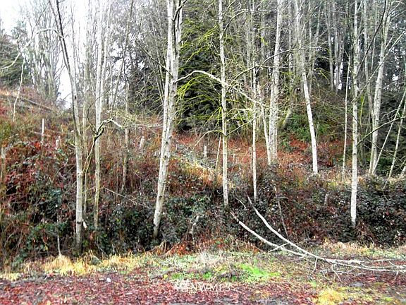3rd image of 6500 Old Machias Road