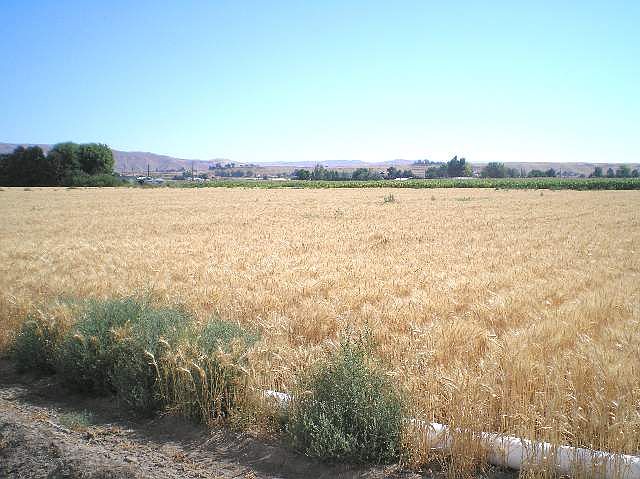 2nd image of Tbd Krause Rd Lot 2