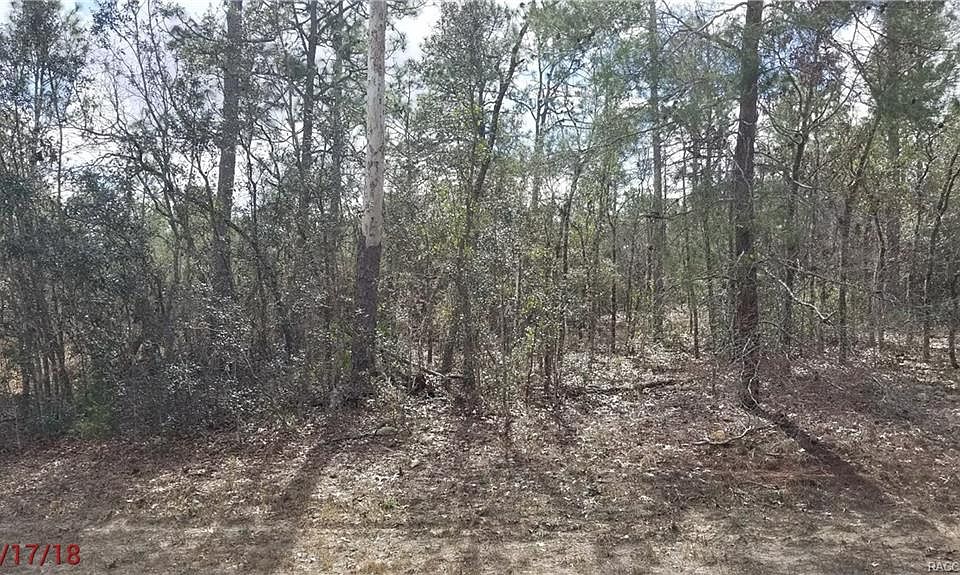 1st image of 4160 W Malaluka Cir