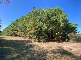 County Road 1613, Avinger, TX 75630