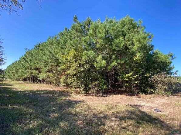 County Road 1613, Avinger, TX 75630