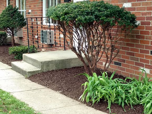 4th image of 3115 Carolina Ave