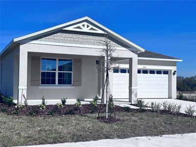 5277 Greenheart Ave, Mount Dora, FL, 32757
